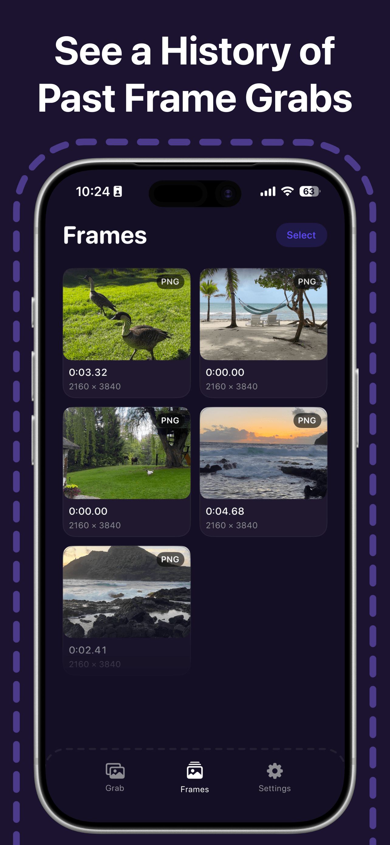 Frame Grabber screenshot 4