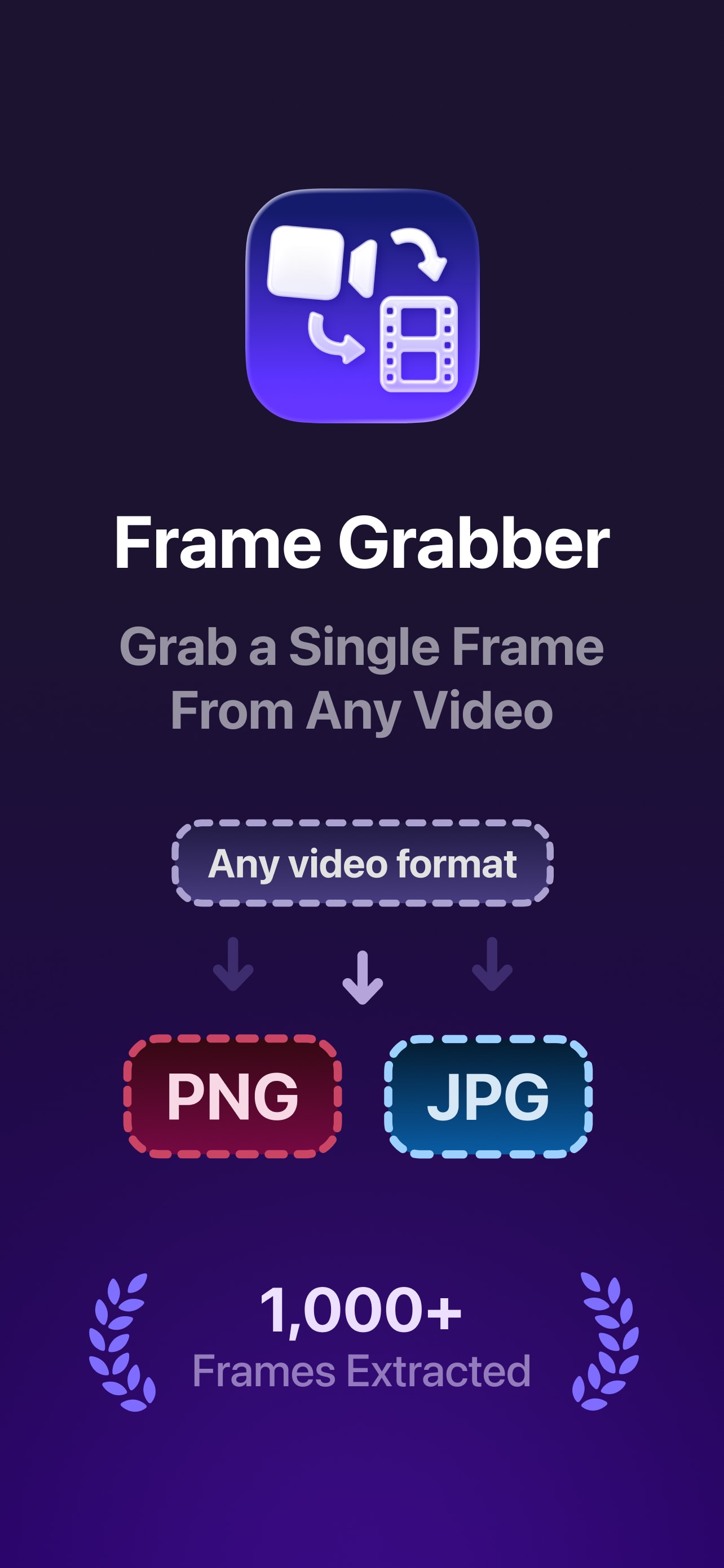 Frame Grabber screenshot 1